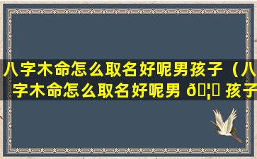 八字木命怎么取名好呢男孩子（八字木命怎么取名好呢男 🦈 孩子名字 ☘ ）